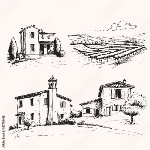 Vineyards landscapes sketched abstract digital illustration