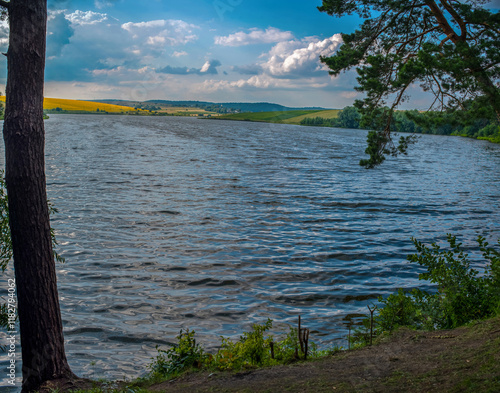 landscape from the shore with pine trees silhouettes to the lake and rural fi...