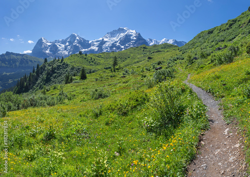 The panorma of Bernese alps with the Jungfrau, Monch and Eiger peaks. photo