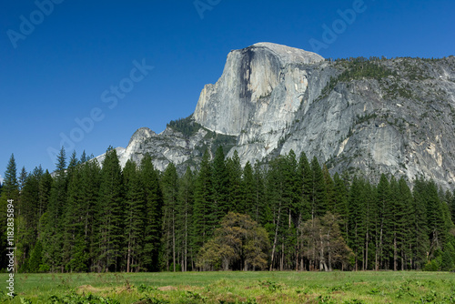 Canvas Print yosemite valley state