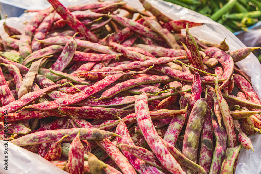 Shamwari, Srinagar, Jammu and Kashmir, India. Fava bean pods for sale at a market in Kashmir. Shamwari, Srinagar, Jammu and Kashmir, India. Fava bean pods for sale at a market in Kashmir.