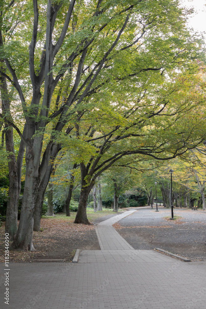 Quiet Japanese pathway with fallen leaves in autumn