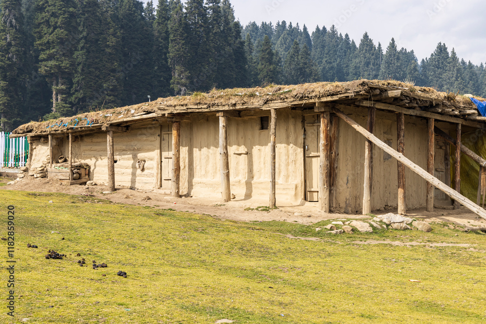 Obraz premium Khan Sahib Tehsil, Jammu and Kashmir, India. Traditional building.