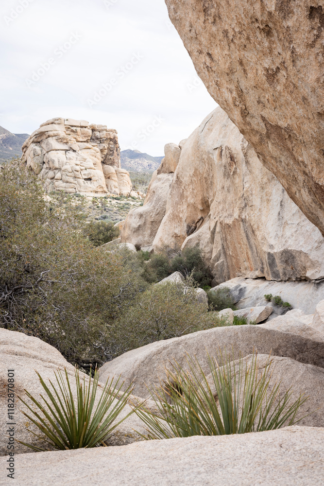Rock formations at Joshua Tree National Park Rock formations at Joshua Tree National Park
