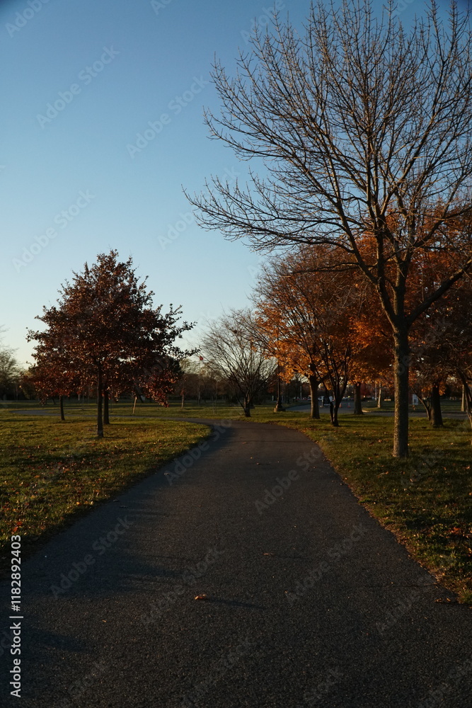 Naklejka premium road in autumn