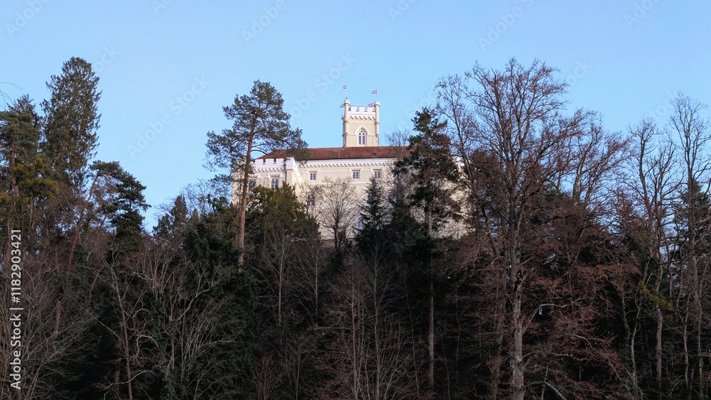 Beautiful winter scenery of Trakošćan Castle on the hill by the lake in the forest at Croatia, county hrvatsko zagorje, nature background Beautiful winter scenery of Trakošćan Castle on the hill by the lake in the forest at Croatia, county hrvatsko zagorje, nature background