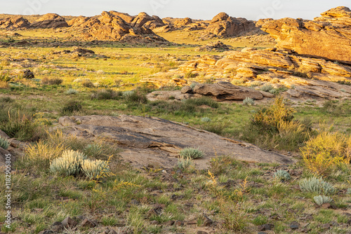 Asia, Mongolia, Eastern Gobi Desert. Grasses and desert plants along with rock formations abound in the Eastern Gobi Desert. photo