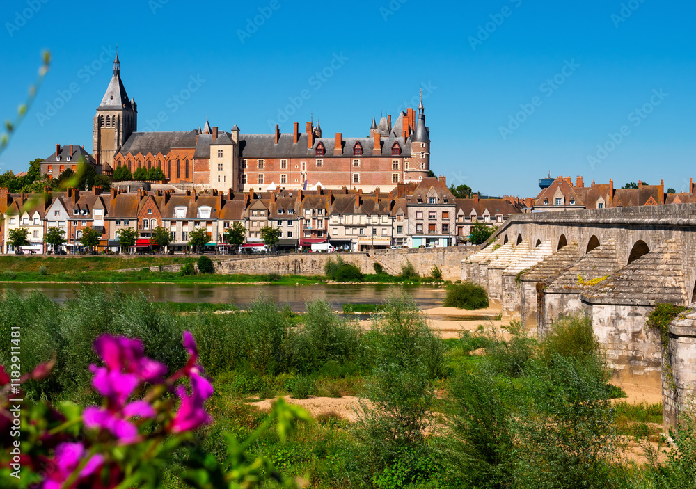 Scenic summer view of Gien townscape overlooking arched bridge across Loire river and medieval Chateau de Gien dominating over residential houses on sunny day, France Scenic summer view of Gien townscape overlooking arched bridge across Loire river and medieval Chateau de Gien dominating over residential houses on sunny day, France