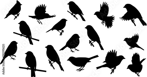 vector set, Bird silhouettes
