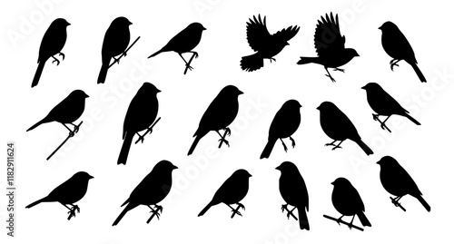 vector set, Bird silhouettes
