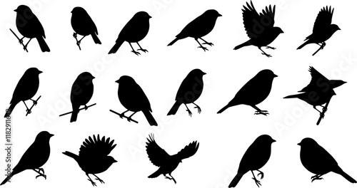 vector set, Bird silhouettes
