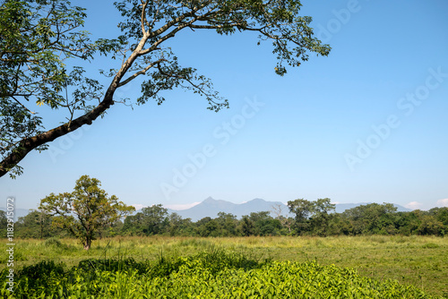 Asia, Nepal. Chitwan National Park landscape