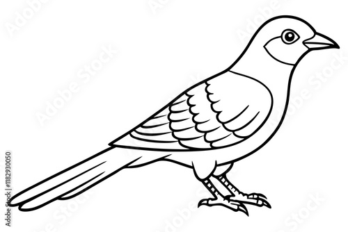 Eurasian Cuckoo Bird Vector Outline Line Art Design, Elegant Songbird Illustration