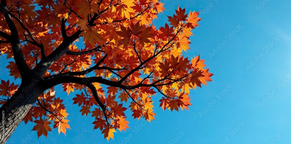 Oak tree branches heavy with brown leaves against a deep blue autumn sky, foliage, brown leaves, nature Oak tree branches heavy with brown leaves against a deep blue autumn sky, foliage, brown leaves, nature