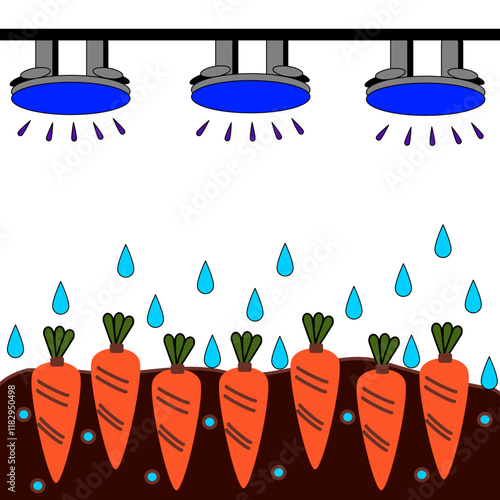 Carrot plant in the soil with innovation water drop. Representation of technology in agriculture. New world harvest concept.