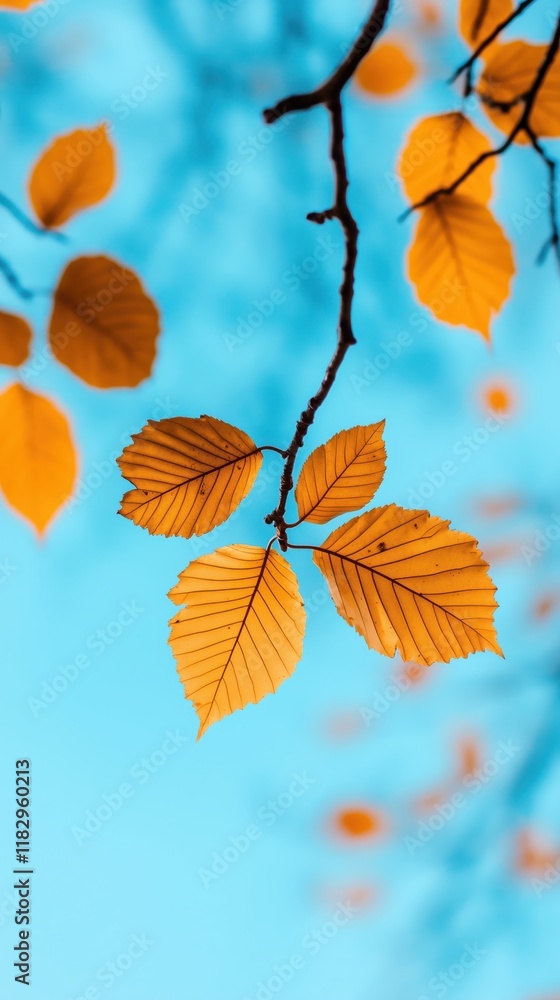 Autumn Leaves on a Blue Sky Autumn Leaves on a Blue Sky