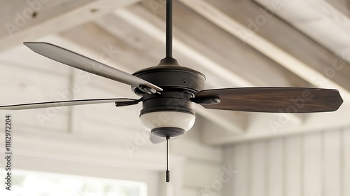 Outdoor ceiling fan with weather resistant finish photo