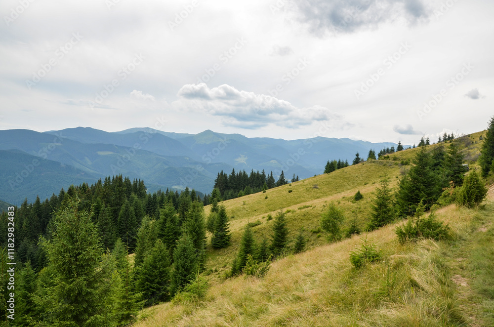 Breathtaking view of a lush, green forest and rolling hills set against a backdrop of majestic mountains under a cloudy sky, embodying nature's tranquility and beauty. Carpathians, Ukraine Breathtaking view of a lush, green forest and rolling hills set against a backdrop of majestic mountains under a cloudy sky, embodying nature's tranquility and beauty. Carpathians, Ukraine