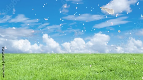 春ひらひらとたくさんの花弁が舞い落ちる丘と草原　空の風景　青空と雲の背景　自然・お祝い・希望・結婚式・ウエディング・アウトドア春・出発・入学・入社のイメージ