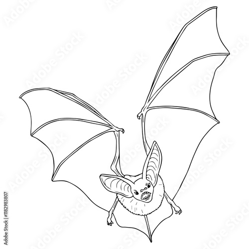bat line vector illustration