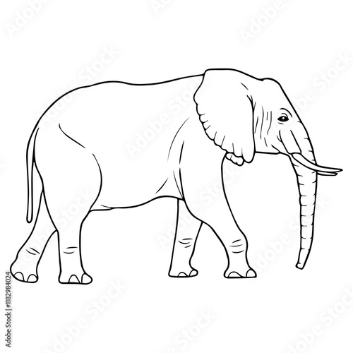 elephant line vector illustration