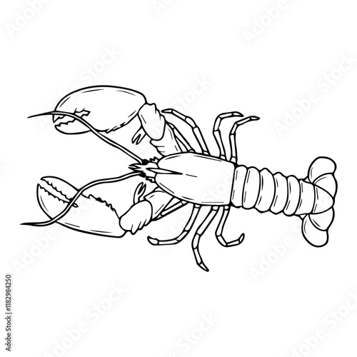 lobster line vector illustration