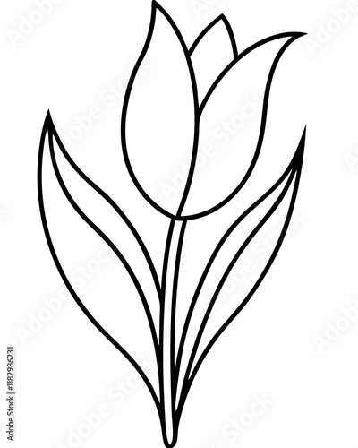 Tulip Flower Vector Outline Line Art Design, Elegant Botanical Illustration