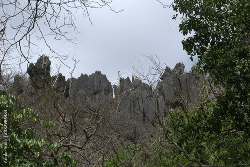 El estado Guarico es predominantemente verde.
Arboles,grandes espacios cultivados,llanuras y pequeñas montañas.