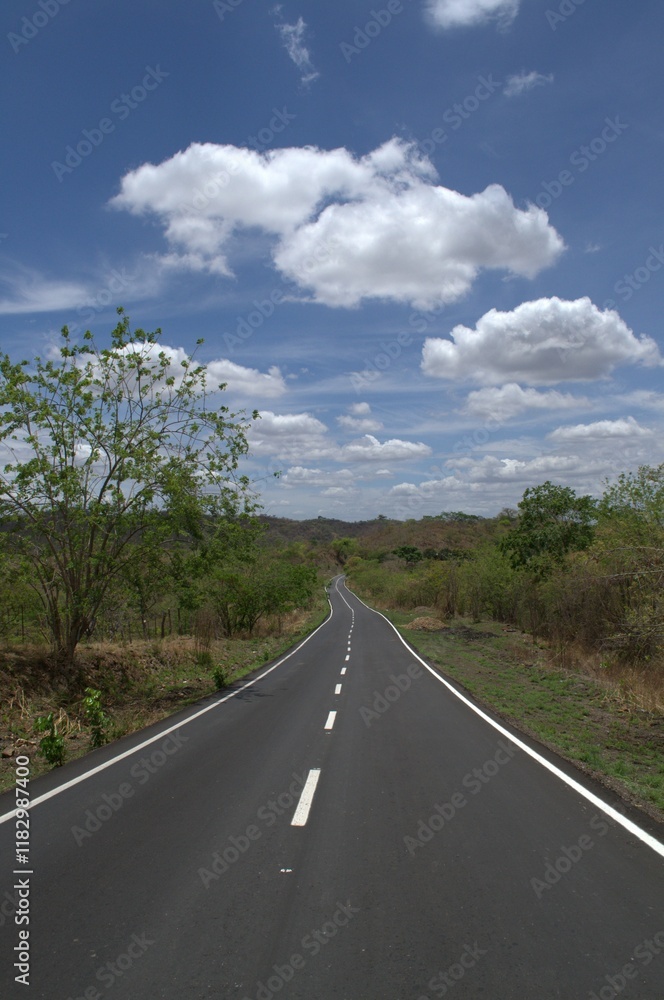 Naklejka premium Autopistas y carreteras en el estado Guarico. Muchos kilometros de vias asfaltadas para conectar los diferentes puntos del estado.
