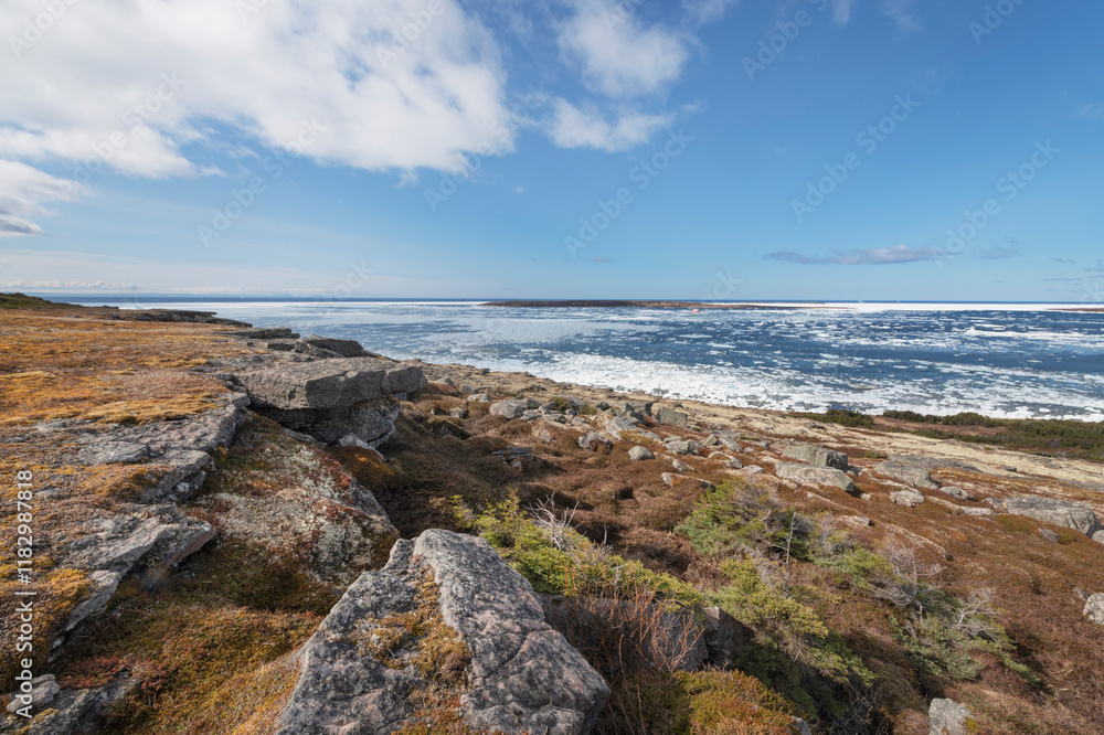 Labrador coast looking out to Strait of Belle Isle, Newfoundland and Labrador, Canada. Labrador coast looking out to Strait of Belle Isle, Newfoundland and Labrador, Canada.
