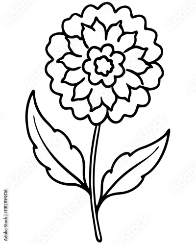 Marigold Flower with Two Leaves Vector Outline Line Art Design, Elegant Floral Illustration