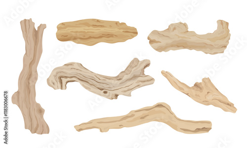 Set of driftwood illustration. Tree branches, wood sticks. Hand drawn vector.