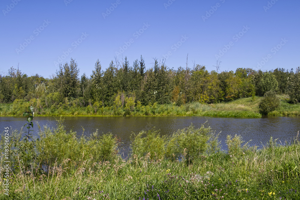Pylypow Wetlands in the Summer Pylypow Wetlands in the Summer