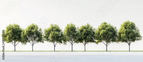 Seven lush green trees stand in a row against a bright white background. photo