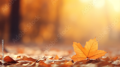 Golden Autumn Leaves on the Ground with Warm Sunlight in a Peaceful Park. Ai generative photo