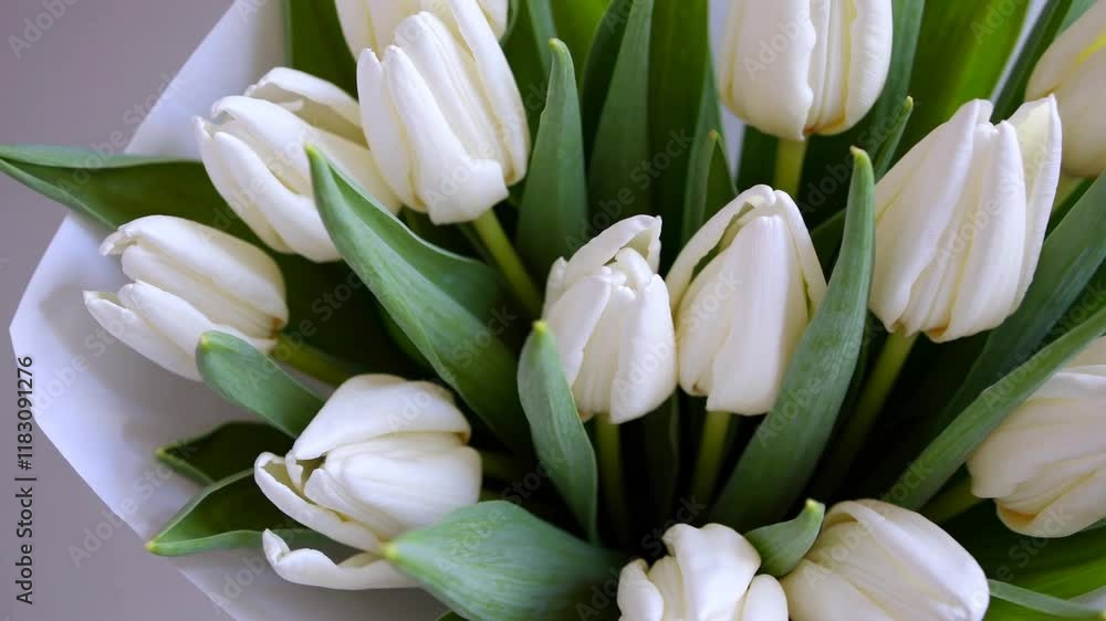 A delicate bouquet of white tulips with vibrant green leaves wrapped in white paper, symbolizing elegance and simplicity A delicate bouquet of white tulips with vibrant green leaves wrapped in white paper, symbolizing elegance and simplicity