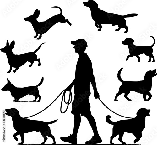 Male dog walker sitter walking with group of pets silhouette vector graphic