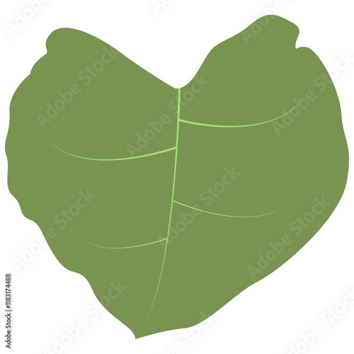 Tropical Leaves Illustration. Flat Cartoon Design of Plant and Flower. Isolated Vector