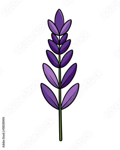 Lavender Flower Vector Illustration, Elegant Floral Design