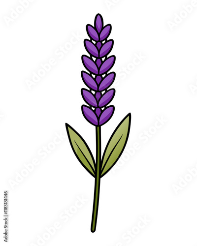 Lavender Flower Vector Illustration, Elegant Floral Design