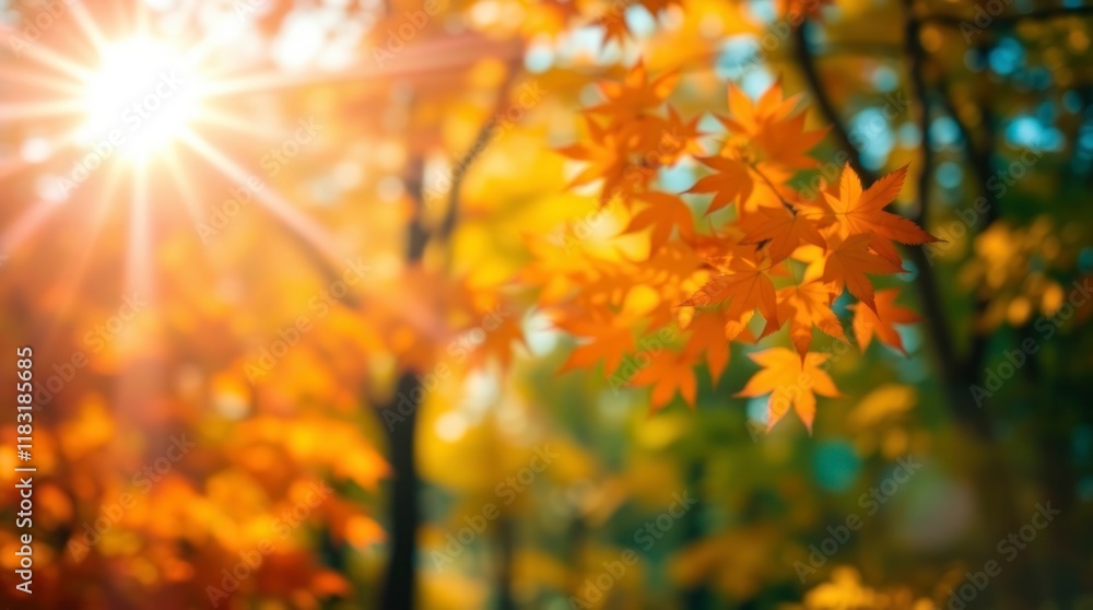 Futuristic sci-fi styled image of autumnal maple trees in a park. Electric vivid colors, advanced technology, space elements, bokeh background, copyspace Futuristic sci-fi styled image of autumnal maple trees in a park. Electric vivid colors, advanced technology, space elements, bokeh background, copyspace