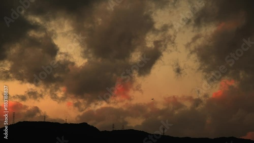 A bird passing through, eerie