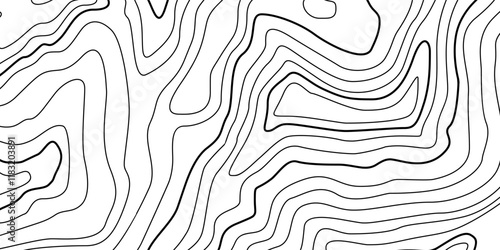 Abstract Contour Topographic Line Pattern in Black and White