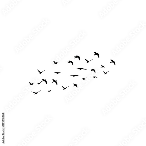 flock of birds png background image, Artistic Black Bird Flight on a Transparent Background