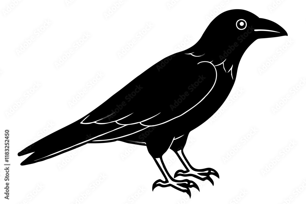 Fototapeta premium Crow Vector Illustratio