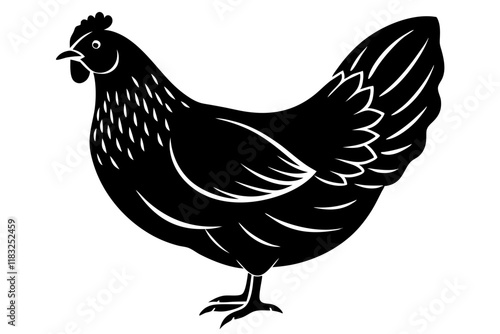 Detailed Hen Vector Illustration