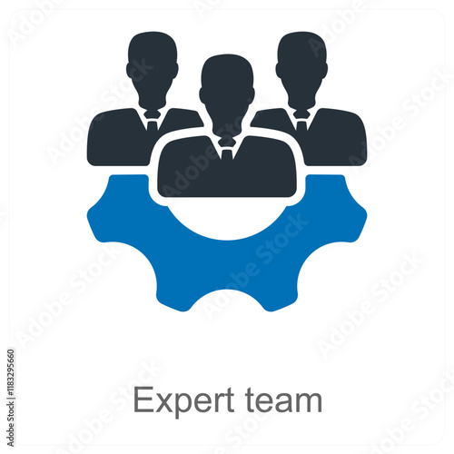 Expert Team