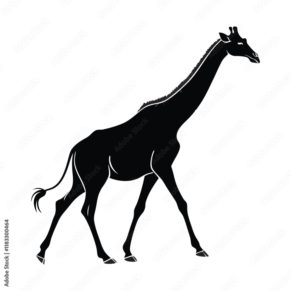 Obraz premium A high quality giraffe animal silhouette