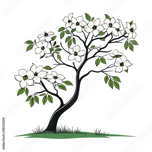  Dgwood Ttree solid color with white background 4.eps photo