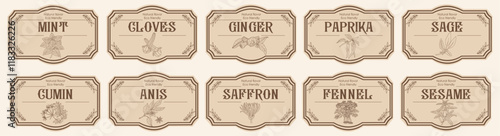 Set of spice jar labels with herbs sketches, paprika, cloves, sage, mint, anis, saffron, fennel. Packaging and labeling template. Organic, natural flavor kitchen stickers. Vintage vector illustrations